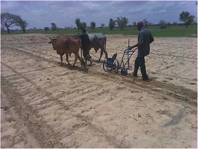 Farmers' Soil Fertility Management in Niger and Opportunities for Improvements Through Mechanization, Microdosing, and Seed Coating